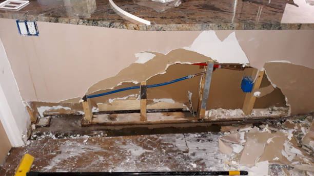 Best Carpet water damage restoration  in Red Chute, LA