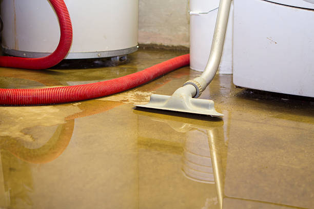 Best Water damage restoration insurance claims  in Red Chute, LA